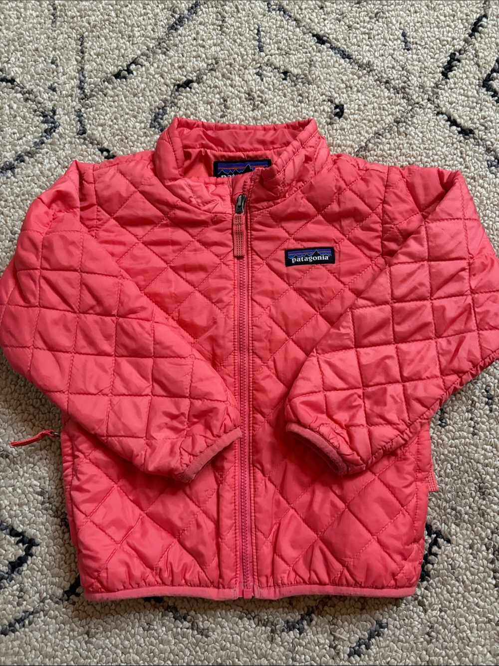 Patagonia Kids Puffer Jacket (3T) EUC